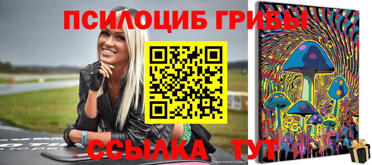 Галлюциногенные грибы мицелий Светлоград